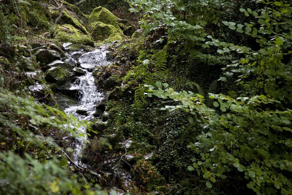 Landhaus Bad Bertrich Dış mekan fotoğraf