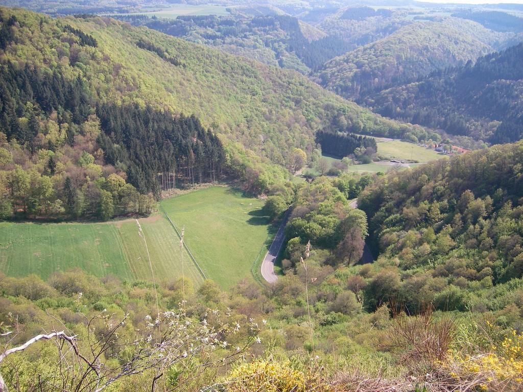 Landhaus Bad Bertrich Dış mekan fotoğraf