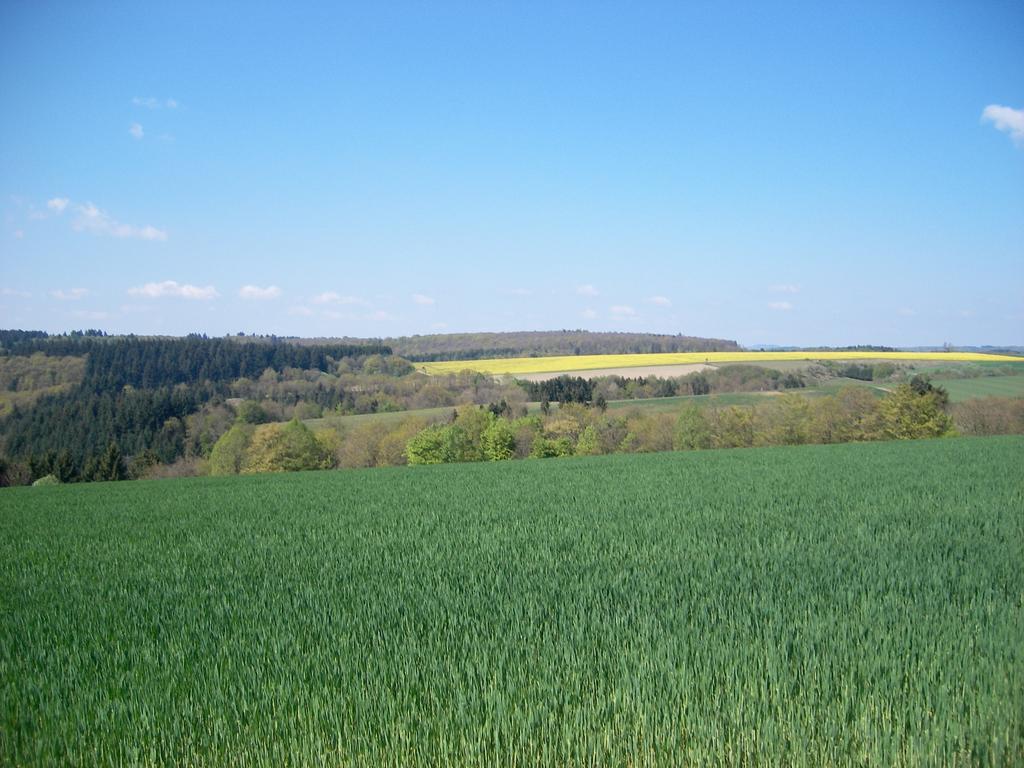 Landhaus Bad Bertrich Dış mekan fotoğraf