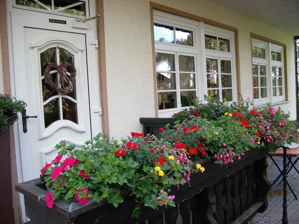 Landhaus Bad Bertrich Dış mekan fotoğraf