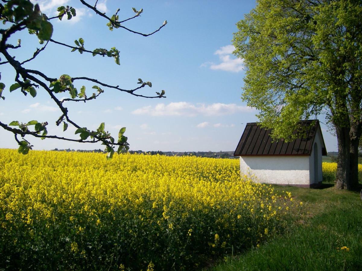 Landhaus Bad Bertrich Dış mekan fotoğraf